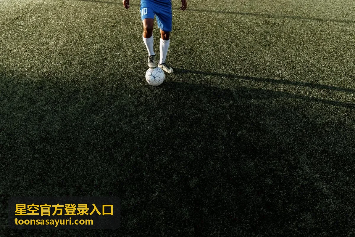 星空官方登录入口第 23 期回放封面